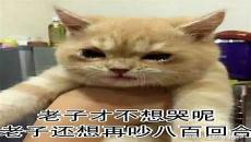 摊牌了我真是封号斗罗小说