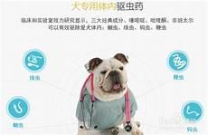 病态宠爱藤萝为枝百度网盘