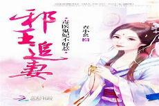 听书腹黑邪王毒医妃