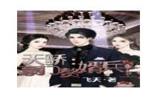 王婿txt