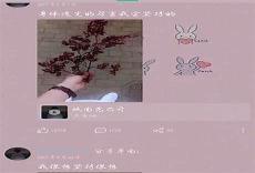 城南花开御城南